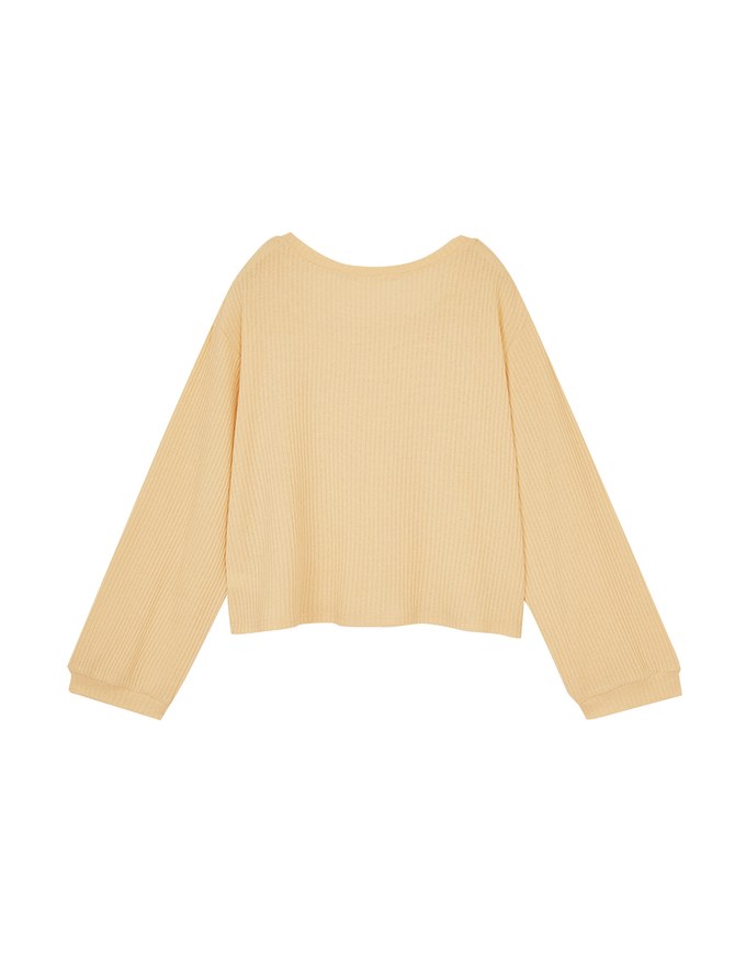 Plain Striped Translucent Top