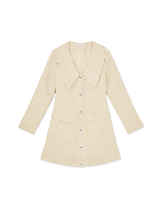 Romance Wide Collar Mini Dress