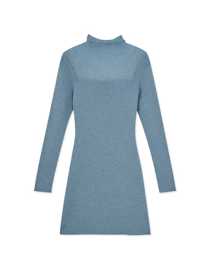 Turtleneck Sheer Bodycon Mini Dress