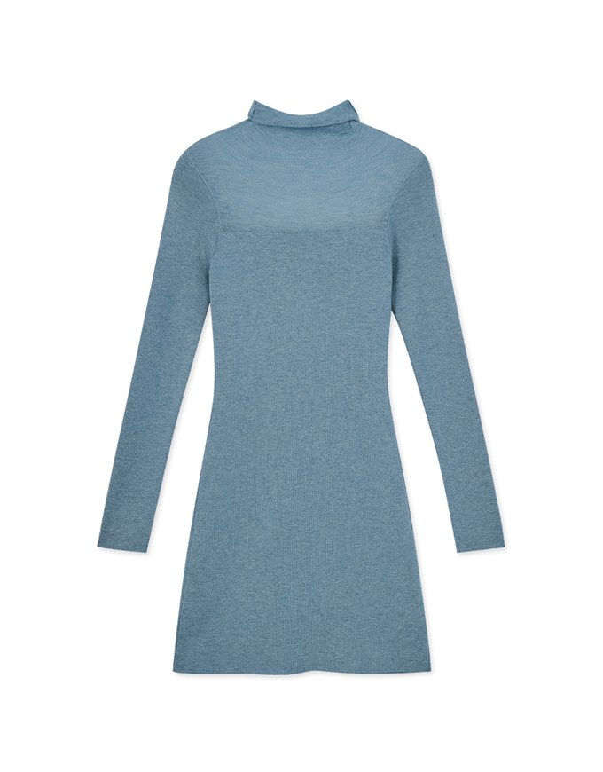 Turtleneck Sheer Bodycon Mini Dress