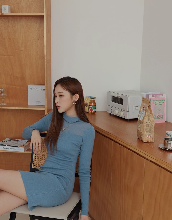 Turtleneck Sheer Bodycon Mini Dress