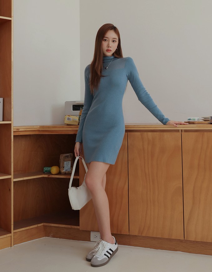 Turtleneck Sheer Bodycon Mini Dress