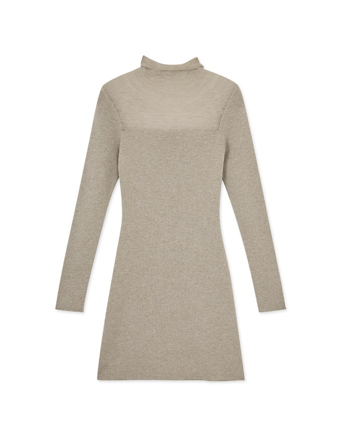 Turtleneck Sheer Bodycon Mini Dress