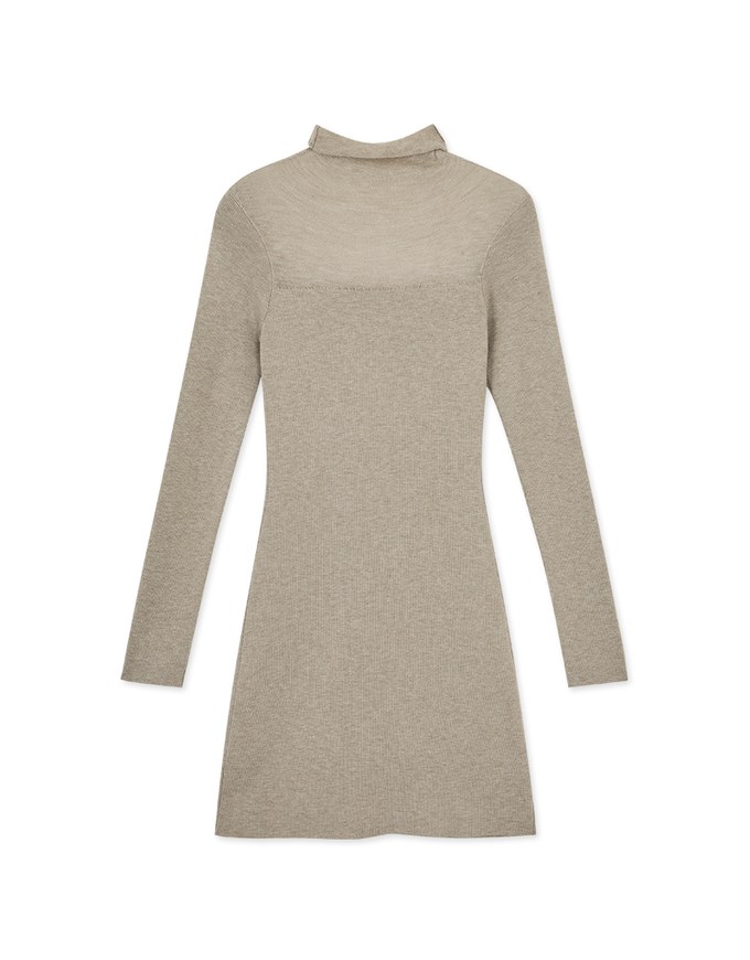 Turtleneck Sheer Bodycon Mini Dress