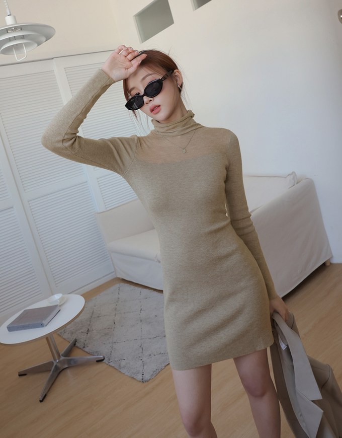 Turtleneck Sheer Bodycon Mini Dress
