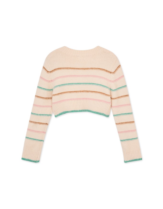 Colorful Line Knit Crop Top