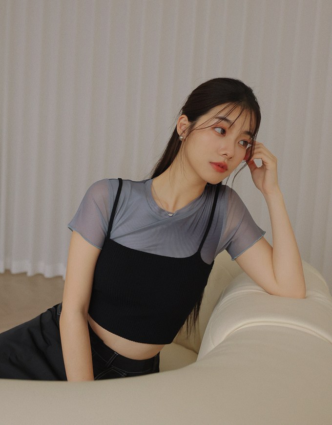 Stylish Gradient Mesh Crop Top