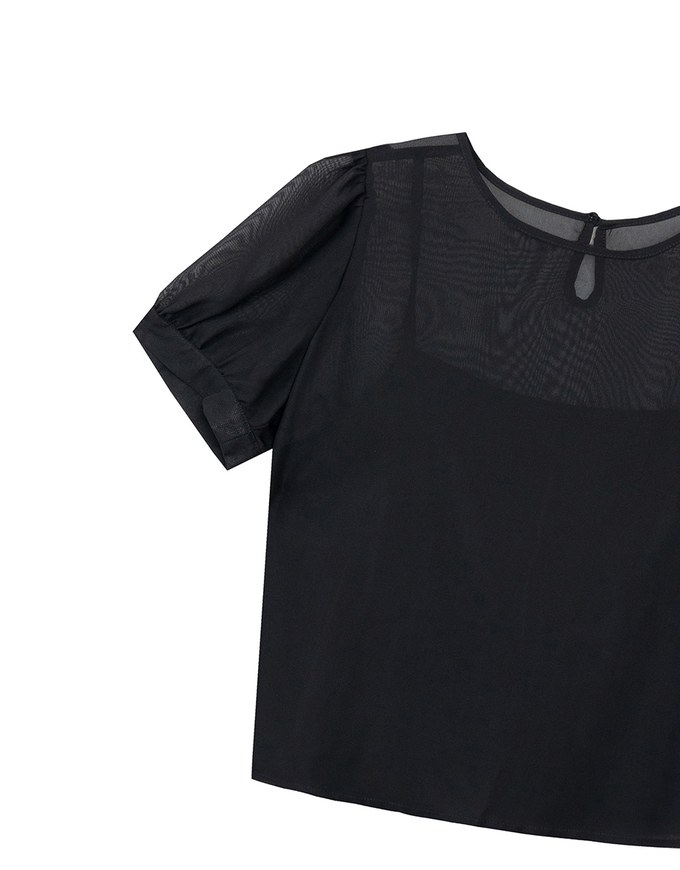 Sheer Puff Sleeve Mesh Top And Basic Camisole Set Wear