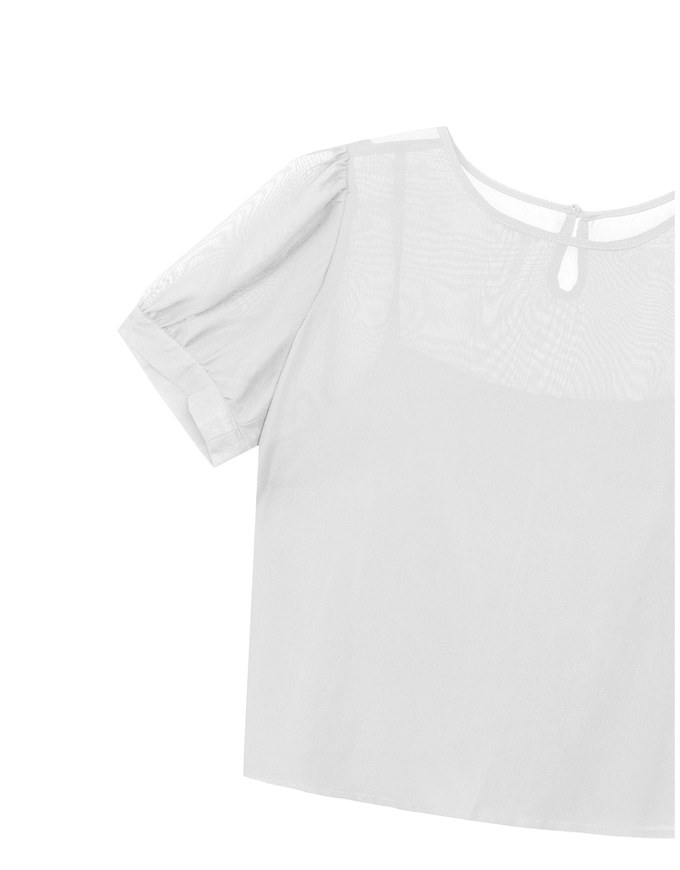 Sheer Puff Sleeve Mesh Top And Basic Camisole Set Wear