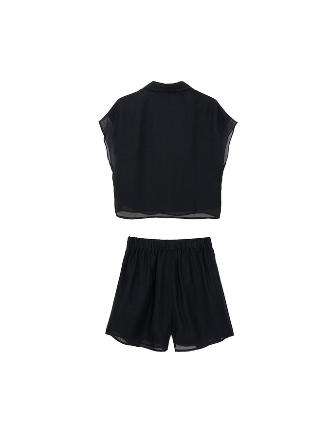 Chiffon Collared Short Sleeve Top And Flowy Pleated Mini Shorts Set Wear