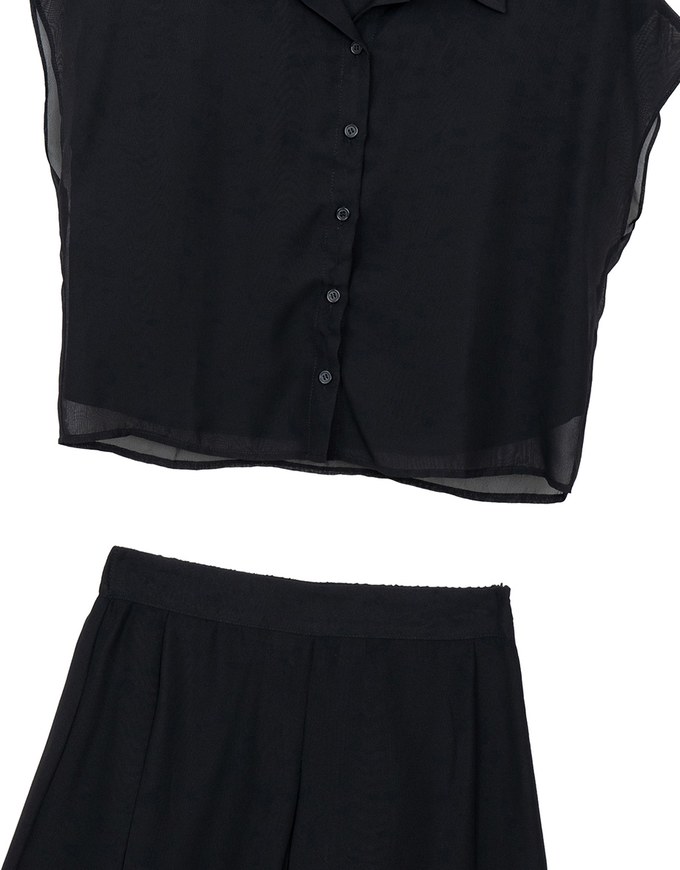 Chiffon Collared Short Sleeve Top And Flowy Pleated Mini Shorts Set Wear