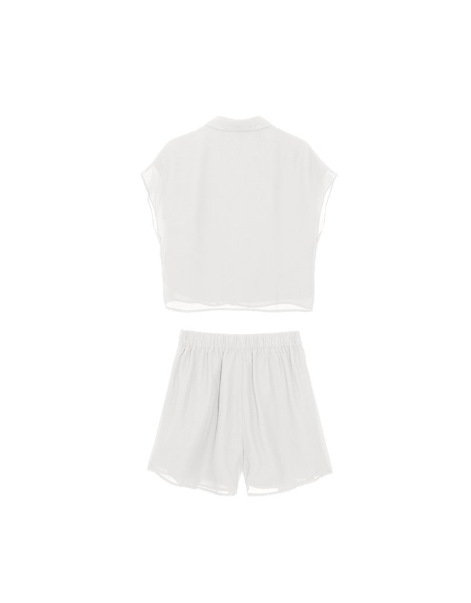 Chiffon Collared Short Sleeve Top And Flowy Pleated Mini Shorts Set Wear