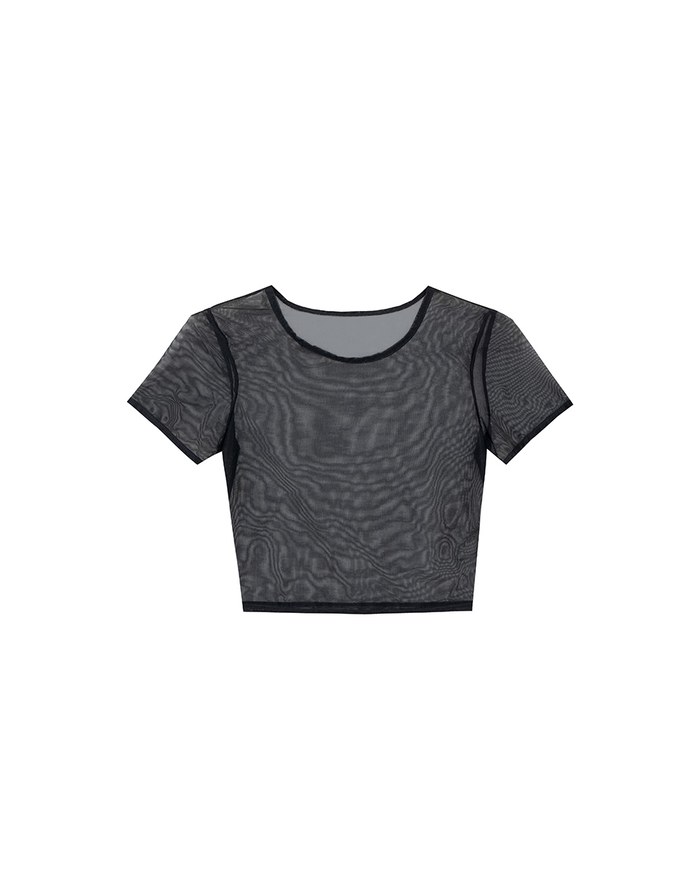 Crew Neck Sheer Mesh Short Sleeve Cropped Tee