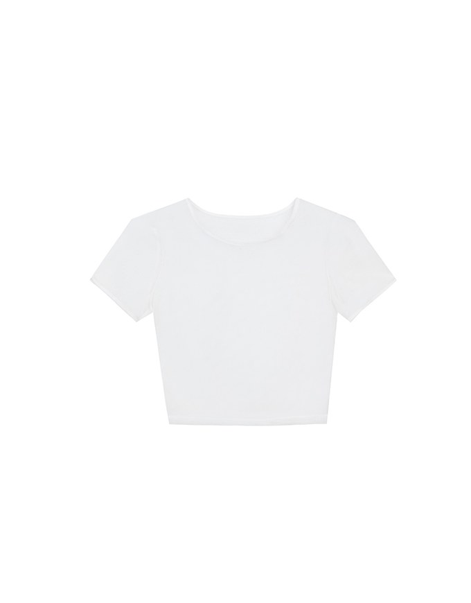 Crew Neck Sheer Mesh Short Sleeve Cropped Tee
