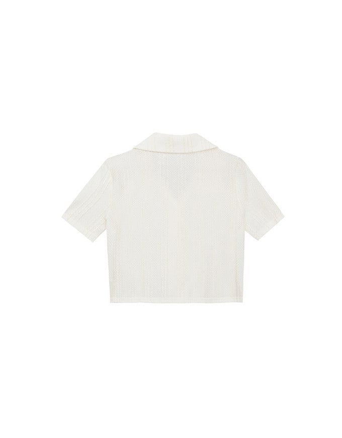 Striped Knit Collared Crop Shirt