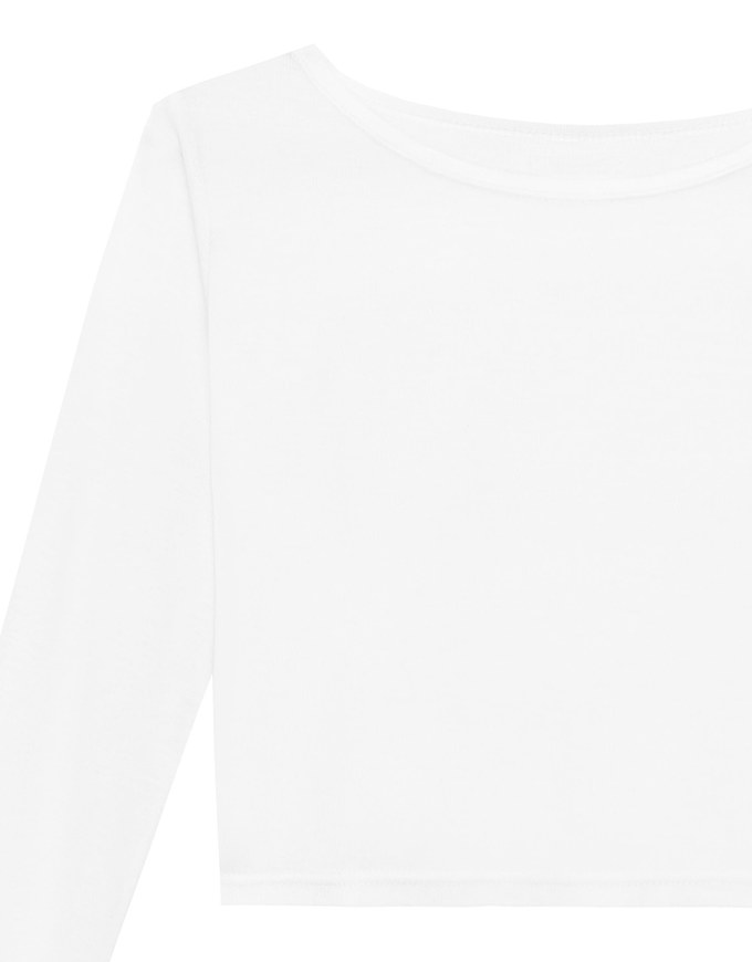 Round Neck Sheer Mesh Long Sleeve Cropped Top