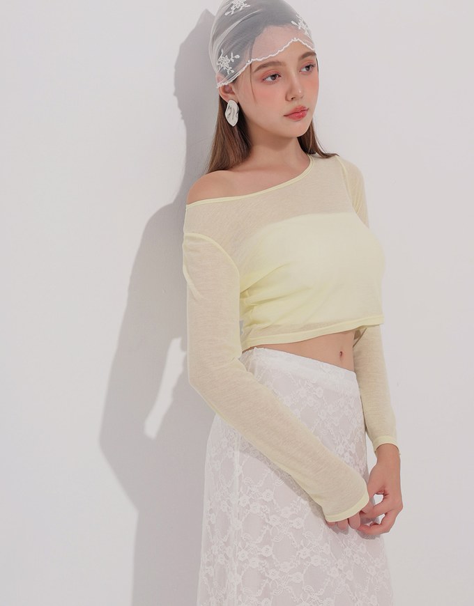 Round Neck Sheer Mesh Long Sleeve Cropped Top
