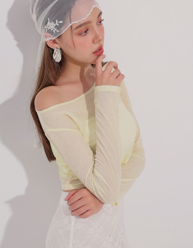 Round Neck Sheer Mesh Long Sleeve Cropped Top
