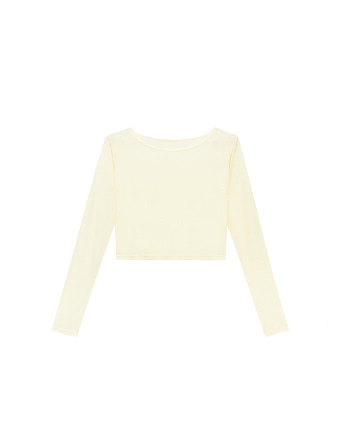 Round Neck Sheer Mesh Long Sleeve Cropped Top