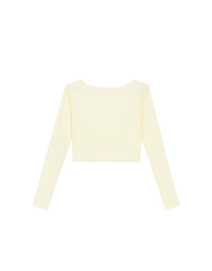 Round Neck Sheer Mesh Long Sleeve Cropped Top