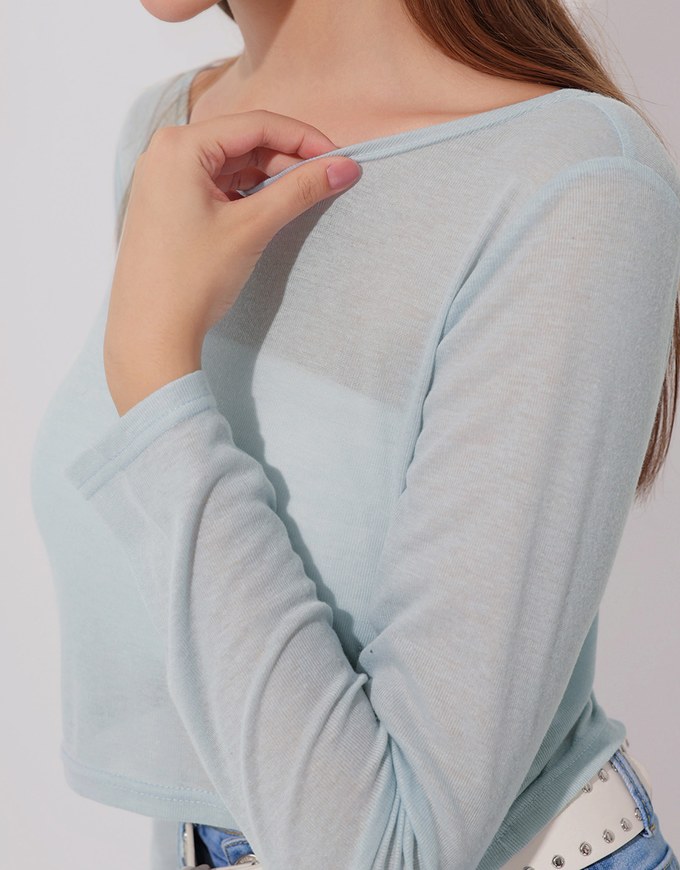Round Neck Sheer Mesh Long Sleeve Cropped Top