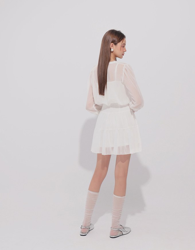Sheer Chiffon Lace Trim Long Sleeve Mini Dress