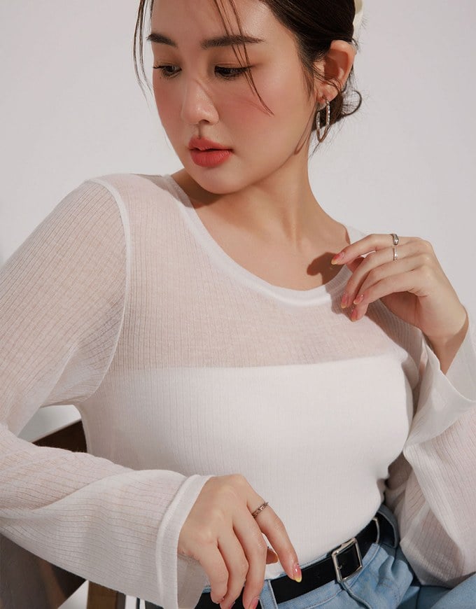 Sheer Knit Crop Long Sleeve Top