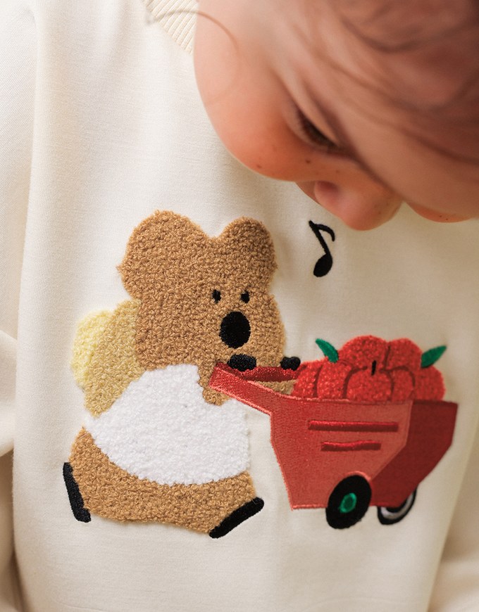 【DINOTAENG】 Fluffy Embroidery Graphic Sweatshirt ( Kids)