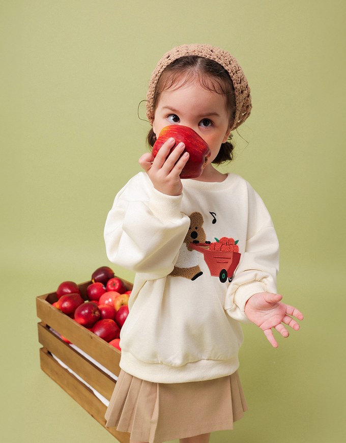 【DINOTAENG】 Fluffy Embroidery Graphic Sweatshirt ( Kids)