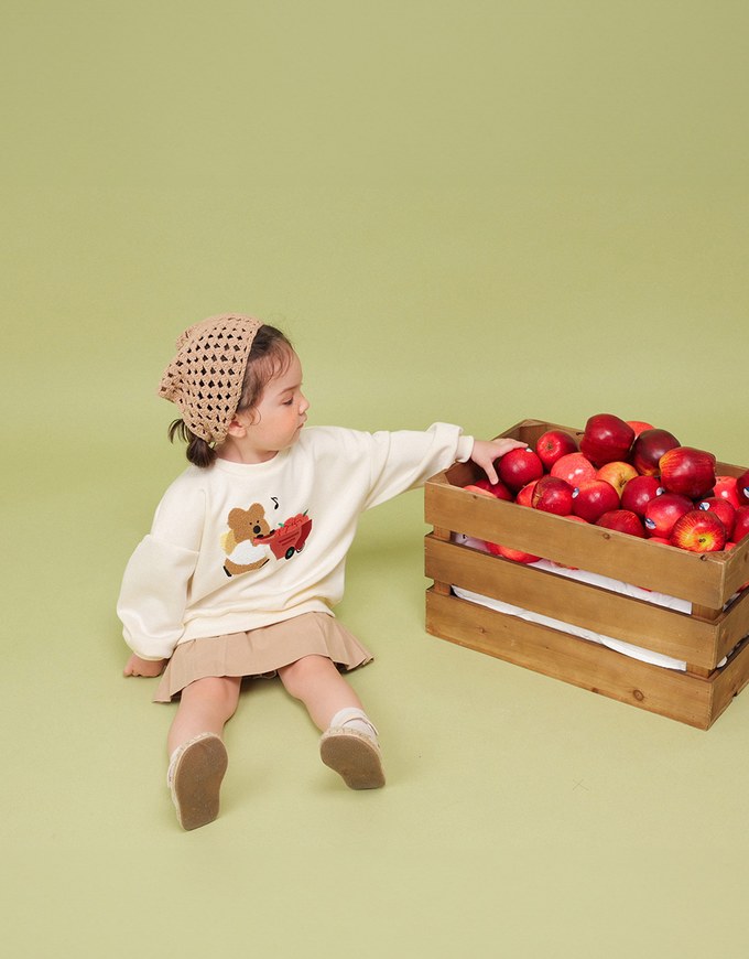 【DINOTAENG】 Fluffy Embroidery Graphic Sweatshirt ( Kids)