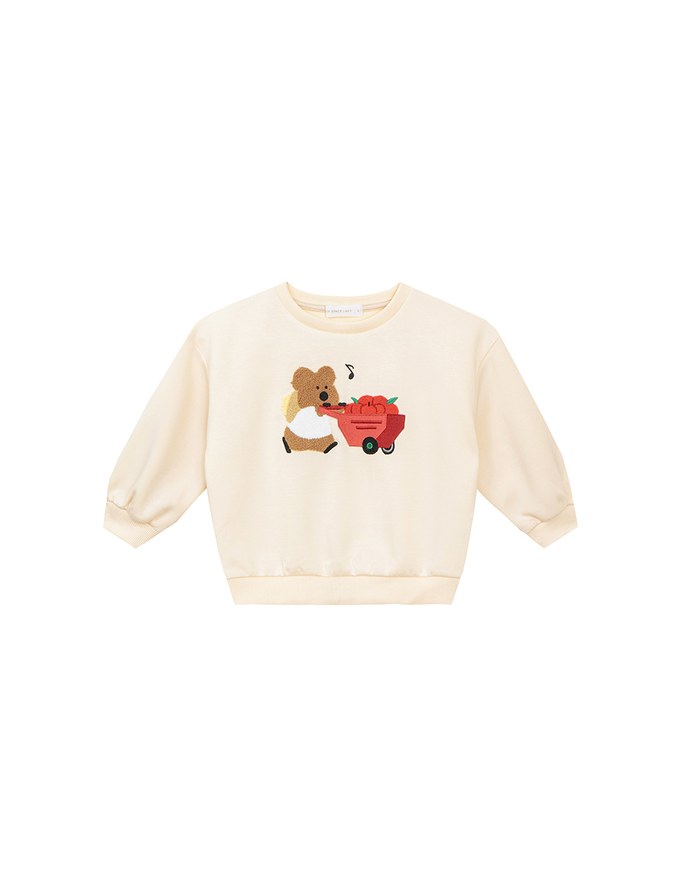 【DINOTAENG】 Fluffy Embroidery Graphic Sweatshirt ( Kids)