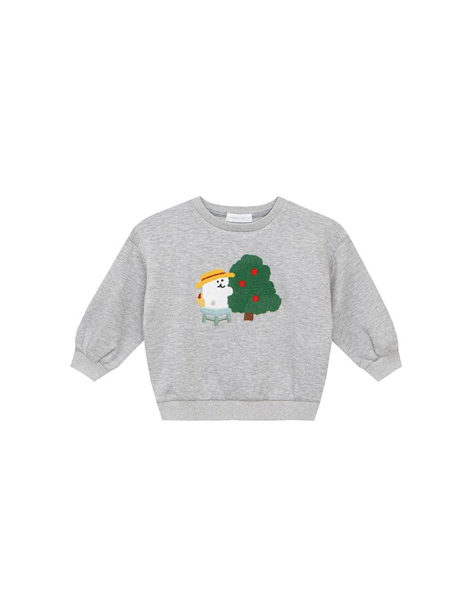 【DINOTAENG】 Fluffy Embroidery Graphic Sweatshirt ( Kids)