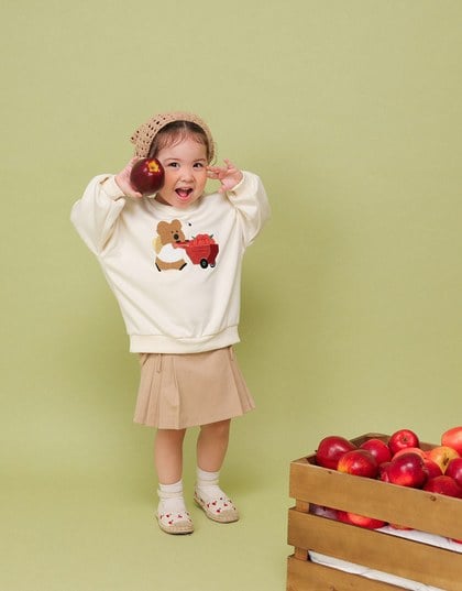 【DINOTAENG】 Fluffy Embroidery Graphic Sweatshirt ( Kids)