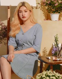 Classic V-Neck Button-Down Denim Jeans Dress