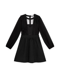 Delicate Lace Trim Splice Sheer Mini Dress