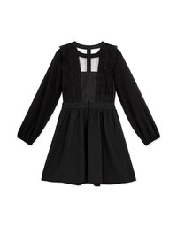 Delicate Lace Trim Splice Sheer Mini Dress