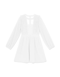 Delicate Lace Trim Splice Sheer Mini Dress