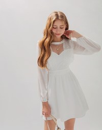 Delicate Lace Trim Splice Sheer Mini Dress