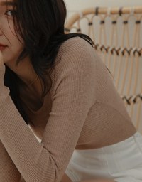 Round Neck Sheer Knit Top