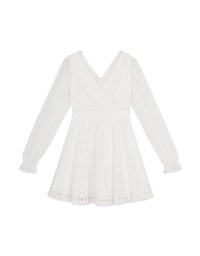 Classy Demure Hollow Texture Lace Mini Dress