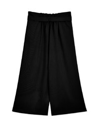 Minimalist Staple Pleated Suit Wide Pants