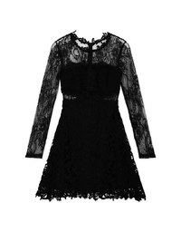 Semi- Transperent Lace Mini Dress