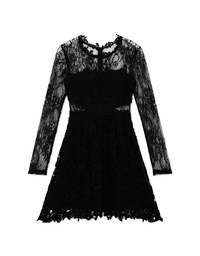 Semi- Transperent Lace Mini Dress