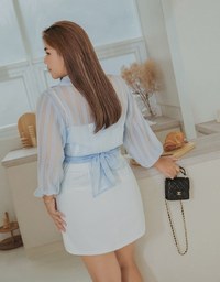 Striped Tie-Ribbon Sheer Crop Blouse Shirt