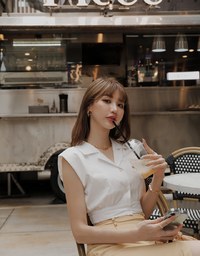 Smart Casual Sleeveless Lapel Crop Blouse Shirt