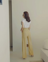 V Cut High Waisted Suit Pants