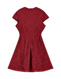 Qipao DRESS Front Cutout Lace Mini Cheongsam Dress