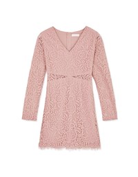 V-Neck Lace Skin-Translucent Mini Dress