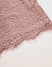 V-Neck Lace Skin-Translucent Mini Dress