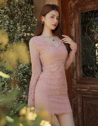 V-Neck Lace Skin-Translucent Mini Dress